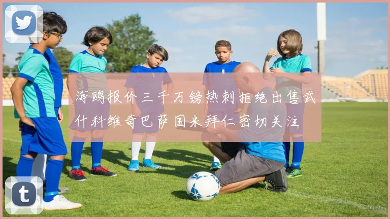 海鸥报价三千万镑热刺拒绝出售武什科维奇巴萨国米拜仁密切关注