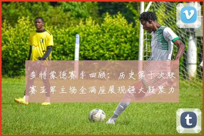 多特蒙德赛季回顾：历史第十次联赛亚军主场全满座展现强大凝聚力
